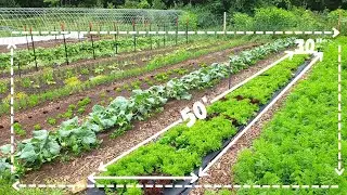 Designing Your FIRST Garden - Drawing It OUT!