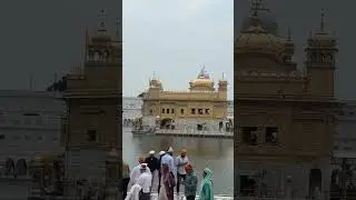 golden temple amritsar #shorts #goldentemple