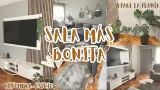 PUSE MI SALA MÁS BONITA 😍espejos-alfombra-cojines-plantas