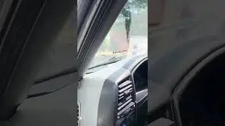Соболь