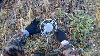 Настораживание живоловушки от СУАС