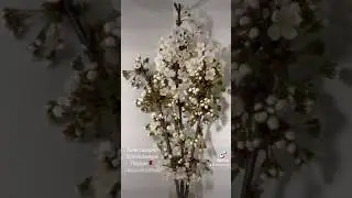 18 апреля 2024 г.