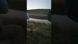 Музыка севера...