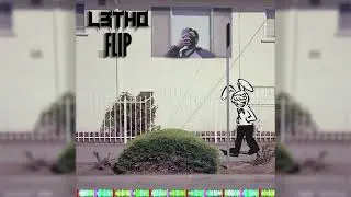 Camoufly - Kaleidoscope (L3THO Flip) [OUT NOW]