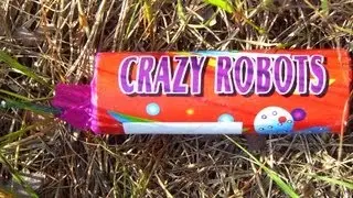 Crazy Robots {TXP484}