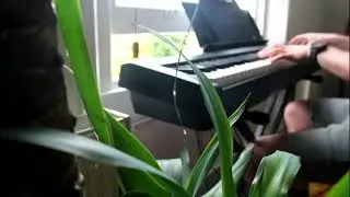 Billie Eilish - When The Party's Over (Piano Cover)