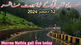 murree live today | Nathia gali today | #murree weather today | murree #snowfall update #2024