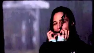 Louis. tribute