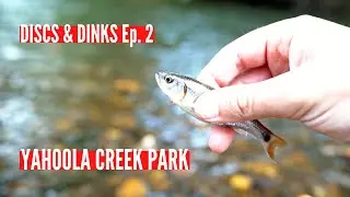 Discs & Dinks Episode 2 - 'Yahooligans 18' At Yahoola Creek Park