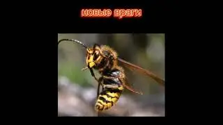 Скоро лето, а это значит: