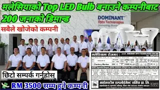 💸 RM3500 Malaysia Top LED Bulb 💡 manufacturing company demand | Dominant Opto technologies SDN BHD
