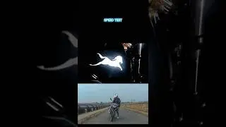 Tvs Raider 125cc || Best budget bikes #shorts #ytshorts #ssphotography