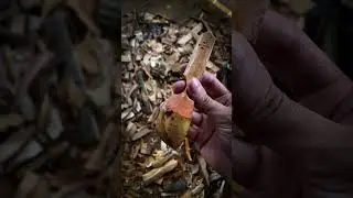 Beautiful plum wood 🪵 ♥️