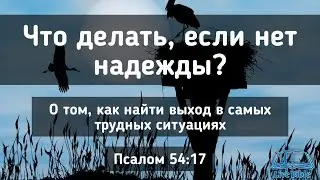 Что делать, если нет надежды?