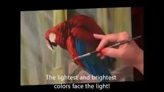 How to Paint Parrots - Painting Lesson