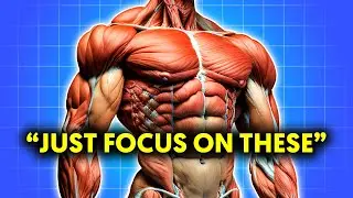 The Only 3 Exercises Needed to Be AESTHETIC