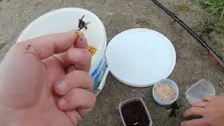 Не смотрите это видео.Ничего не поймал🤷‍♂️