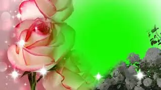 Wedding green screen background effect   Shaadi background frame 2020