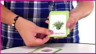 Вундеркинд с пеленок  Логопедические карточки Логопедка З 021)
