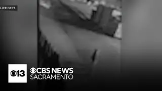 Vacaville families on edge after recent mountain lion sighting