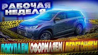 Рабочая неделя в Армении!!! Покупаем / Оформляем / Перегоняем.