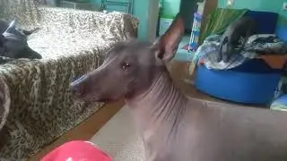 первый день весны ,а мы дома.