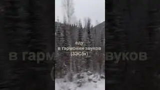 🚆3ЭС5К "Ермак" - "Окно"🚆❗Дорога в гармонии звуков... #shorts