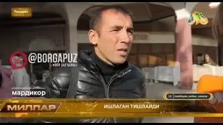 Qiziqarli videolar / Кизикарли видеолар