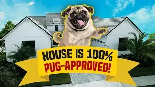 Perfect Home for Pugs -  Inside a Luxury Real Estate Tour with Juju