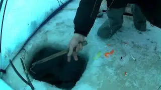 рыбалка на амуре 16.12.23