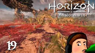 Horizon Forbidden West 🏹​ • 19 - Reinklang • [Let'sPlay | Deutsch | 2K | Blind]