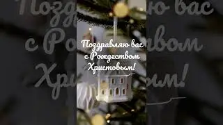 Поздравляю всех вас с Рождеством Христовым!