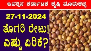 Today Redgram Rates l 27-11-2024 l ತೊಗರಿ ಗರಿಷ್ಠ ಬೆಲೆ ಎಷ್ಟು? l #RedgramRates @BealertJob #Karnataka
