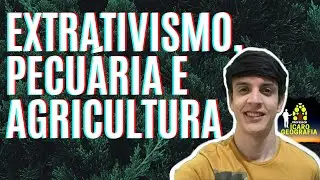 SETOR PRIMÁRIO - AGRICULTURA, PECUÁRIA, EXTRATIVISMO VEGETAL, ANIMAL E MINERAL NO BRASIL