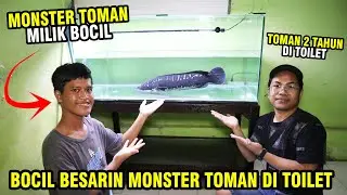 A CHILD'S TOMAN MONSTER FINALLY HAS A TANK! IT HAS BEEN KEPT IN A TOILET!