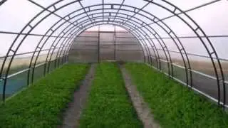 Самые дешевые парники. Стоимость парника Украина.