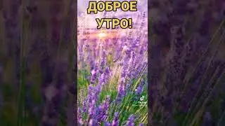 Доброе утро!