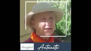 Some feedback from our guests at the Full Moon Hike