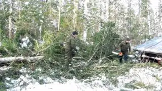 ТТ-4 трелевочник. Рабочие будни.