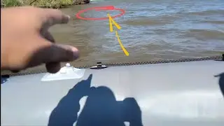 Pesca con caña en el rio Paraná de las palmas, salió mucho pescado mirá! 💪🏻👏🏻👏🏻👆🏻