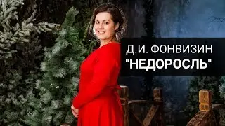 Д.И. Фонвизин 