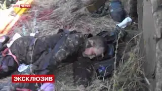 Ополченцы взяли в плен восемь бойцов батальона 