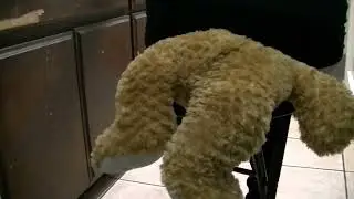 Too Bad for Teddy