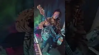 Disco Fever