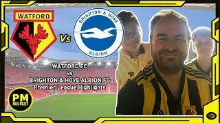 Watford FC vs Brighton & Hove Albion FC  - Premier League Highlights