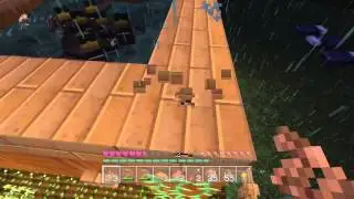 MCX1 Shocking Chickens