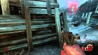 Funny Moments about the D in Black Ops 2 Zombies