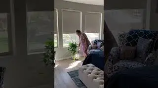 Motorized Roller Shades
