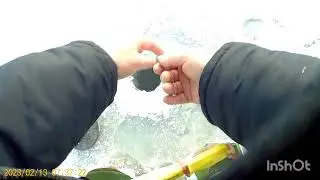 Закрыл сезон по зимней щуке .Жерлицы.