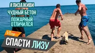 Спасение Лизы / Чудный бетон / Никто не покидает чубастройку / ЧубаСтрой - строим дом в Крыму!